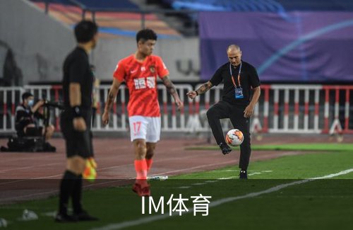 IM体育简介